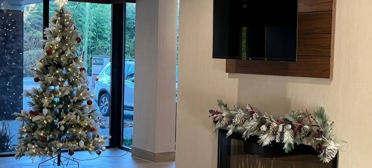 纳什维尔机场奥普里兰拉昆塔温德姆套房酒店(La Quinta Inn & Suites by Wyndham Nashville Airport/Opryland)图片