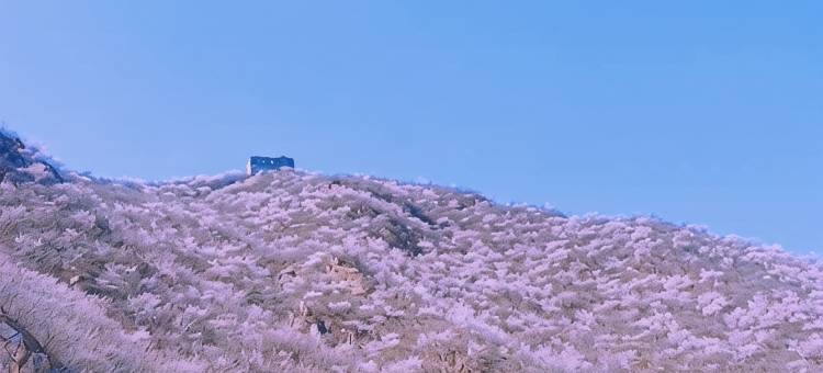 北京玖号院民宿图片