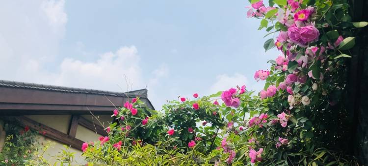 峨眉山大酒店(峨眉山景区报国寺店)图片