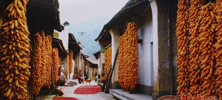 洋县华阳酒店图片