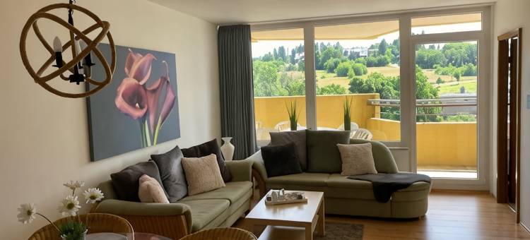 上哈茨全景假日公寓(Panoramic Apartments Hohegeiß)图片