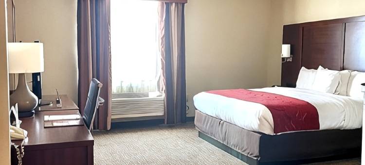 舒适套房酒店-德克萨斯大道(Comfort Suites Texas Ave)图片