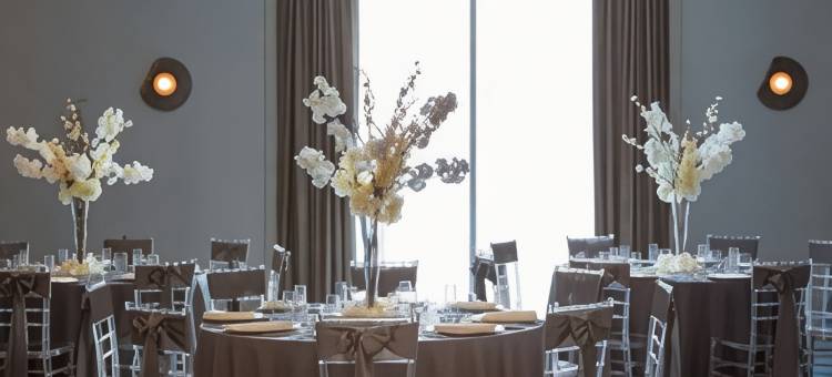 克里酒店-傲途格精选(Hotel Colee, Atlanta Buckhead, Autograph Collection)图片