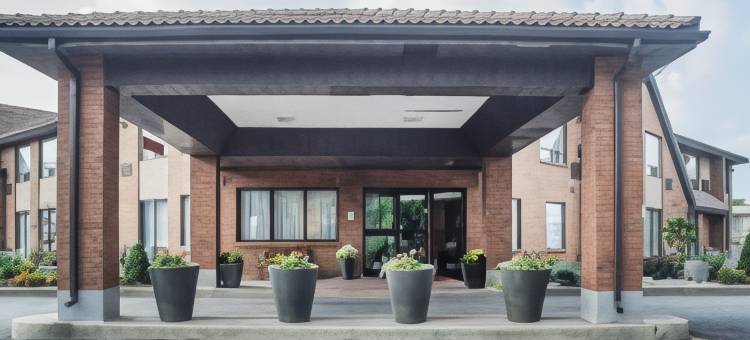 舒适酒店(Comfort Inn)图片