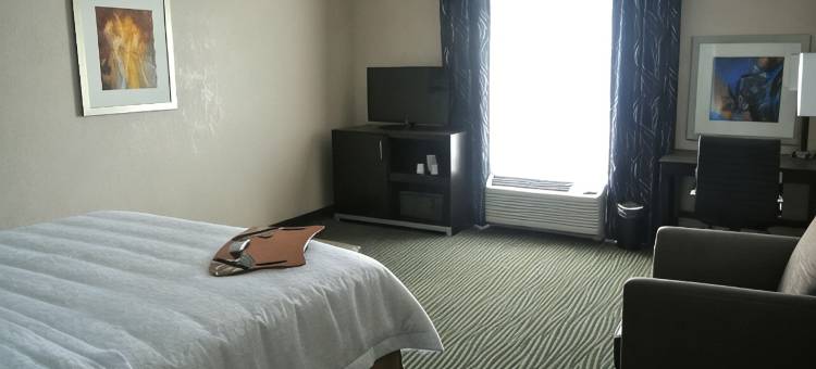 希尔顿欢朋酒店-卡里索斯普林斯(Hampton Inn Carrizo Springs)图片