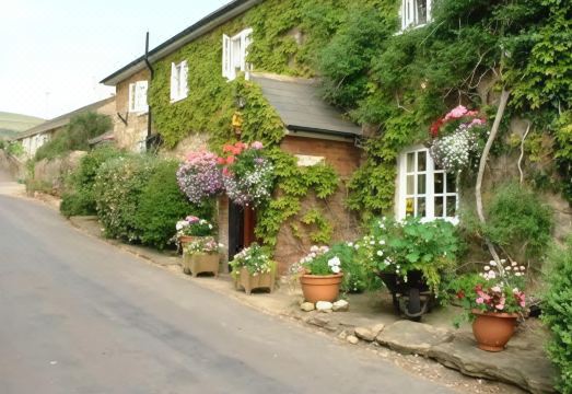 East Farm House B&B Hotel Overview