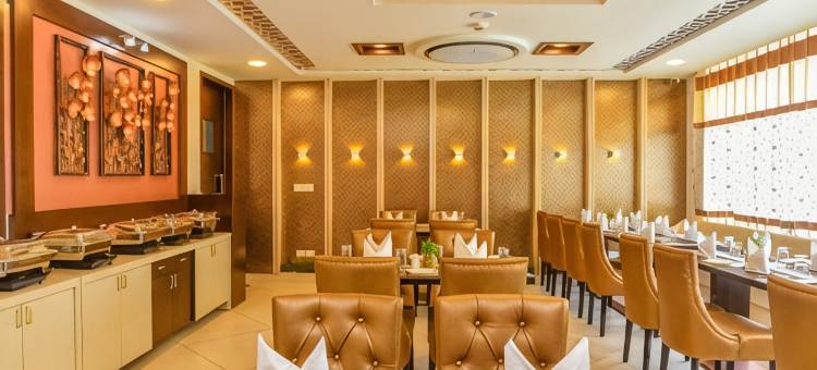 太阳城广场酒店(Hotel Suncity Plaza, Sitapura, Jaipur)图片