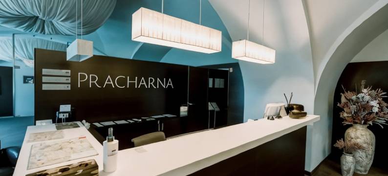 奥洛摩茨普拉查尔纳公园酒店(Prachárna Park Hotel Olomouc)图片