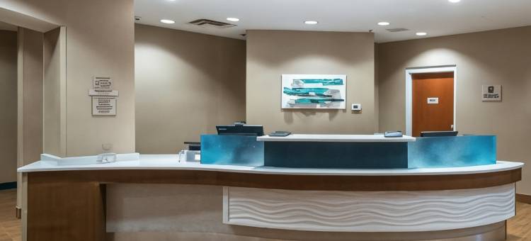 北奥兰多/桑福德万豪SpringHill酒店(Springhill Suites by Marriott Orlando North/Sanford)图片