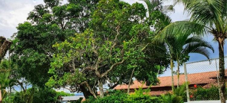 帕尔米尔酒店与会议中心(Palmier Hotel & Convenções)图片