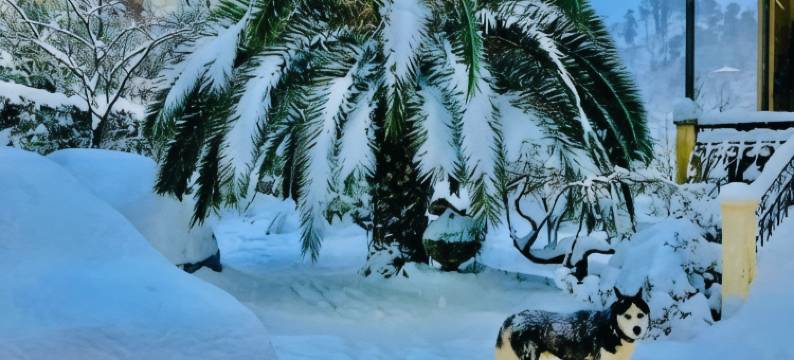 巴统绿角度假屋(Holiday House Green Cape Batumi)图片