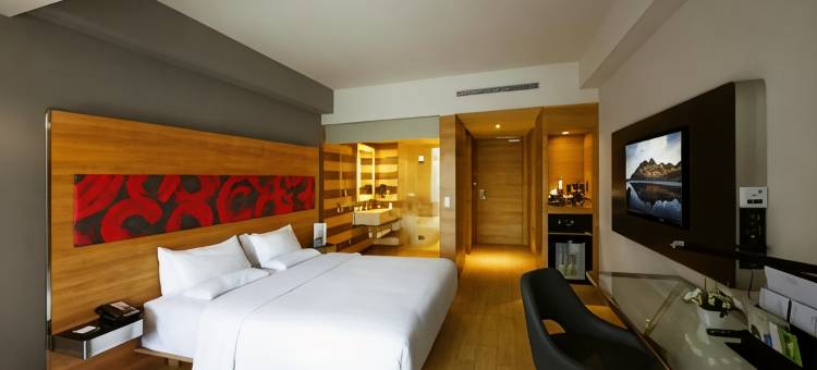 佩坎巴鲁诺富特酒店(Novotel Pekanbaru)图片