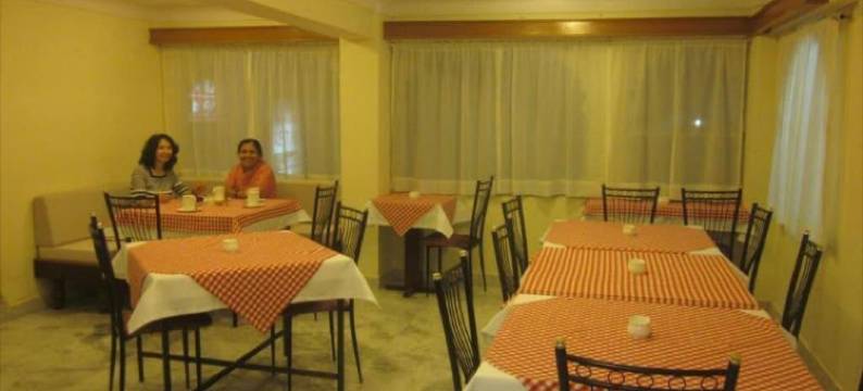 霍华德的拉吉皇宫酒店(Hotel Raj Palace by Howard)图片