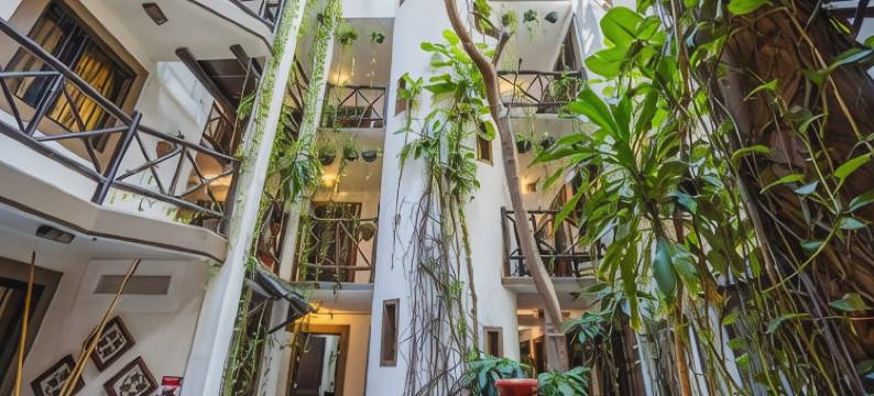 波萨达马里博精萨精品酒店(Posada Mariposa Boutique Hotel - 5th Avenue)图片