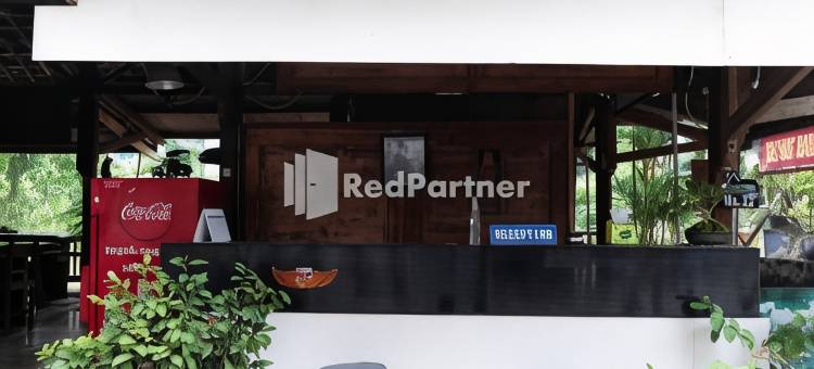 Pondok Kelapa Homestay Lampung Mitra RedDoorz图片