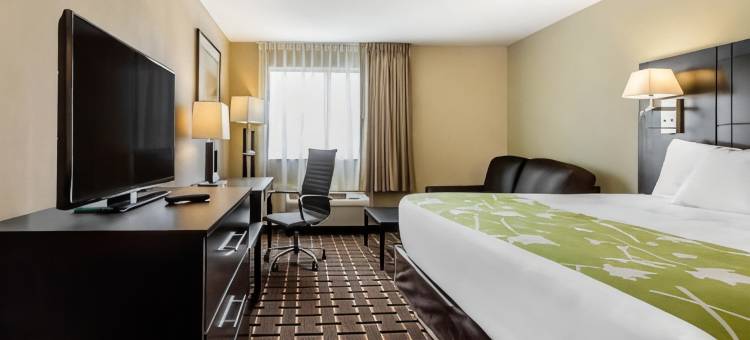 伊克诺旅馆(Econo Lodge Boaz)图片