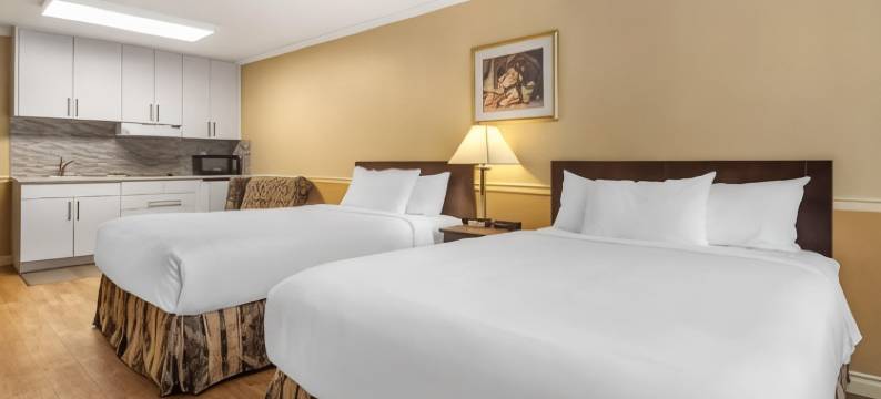 伊克诺套房酒店(Econo Lodge Inn & Suites)图片