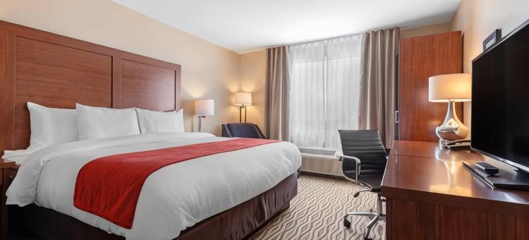 舒适套房酒店(Comfort Inn & Suites)图片