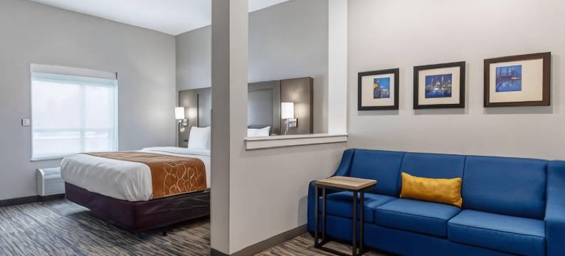 格罗夫城 - 南哥伦布舒适套房酒店(Comfort Suites Grove City - Columbus South)图片