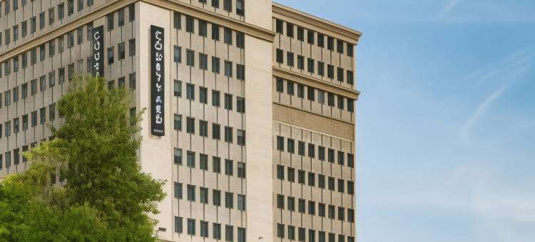 埃德蒙顿市中心万豪万怡酒店(Courtyard Edmonton Downtown)图片