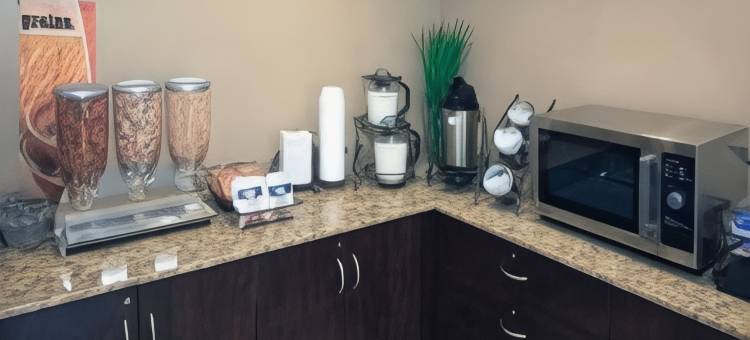 麦客达套房酒店- 特瑞阿德尔福亚(Microtel Inn & Suites by Wyndham Wheeling at the Highlands)图片