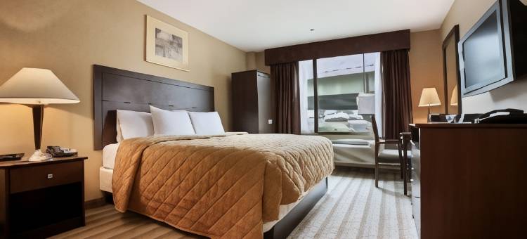 布朗克斯戴斯酒店-近体育场(Days Inn by Wyndham Bronx Near Stadium)图片