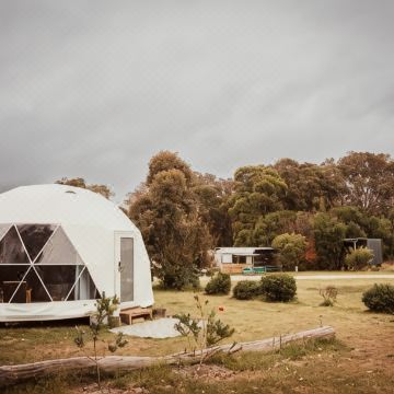 Boogaloo Camp(Boogaloo Camp)图片