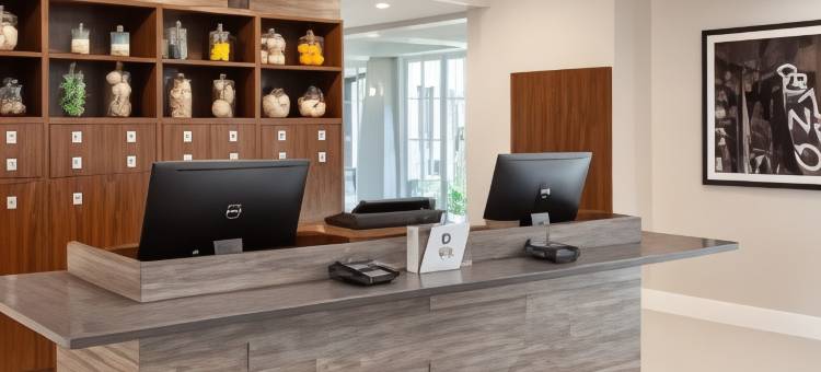 奥兰多福朋喜来登酒店及会议中心(Four Points by Sheraton Orlando Convention Center)图片