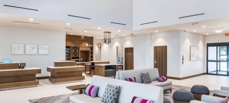 希尔顿花园酒店 北达拉斯中央高速公路(Hilton Garden Inn North Dallas Central Expy)图片