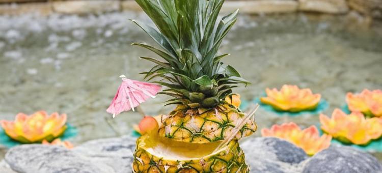 霍德帕花园高尔夫海滩俱乐部套房酒店(Hodelpa Garden Suites - All Inclusive)图片