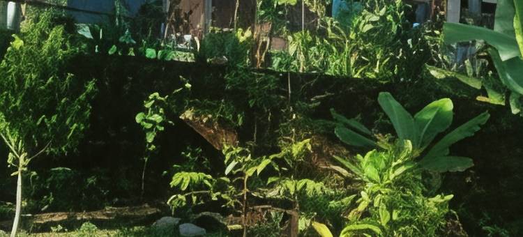 Karleta Homestay图片