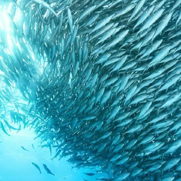 马来西亚5日私家团