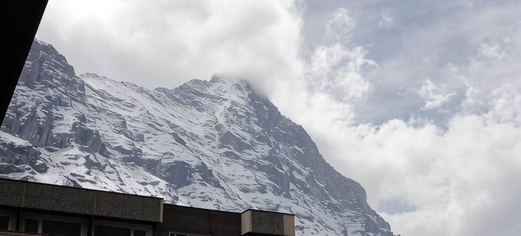 宝狮酒店(Hotel Steinbock Grindelwald)图片
