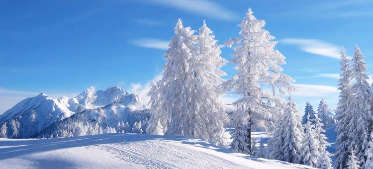 五常雪谷山川情驿站图片