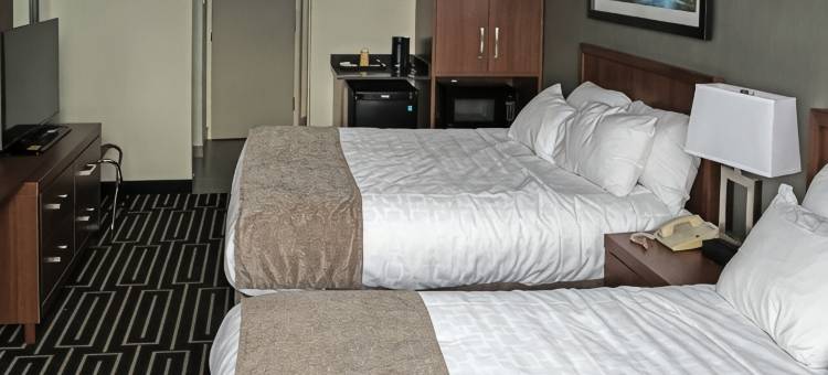 凯艺酒店(Quality Inn)图片