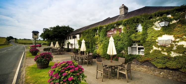 格鲁斯旅馆(The Groes Inn)图片