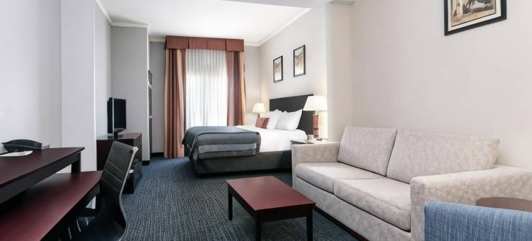 雅典市中心蔚景温德姆酒店(Wingate by Wyndham Athens Near Downtown)图片