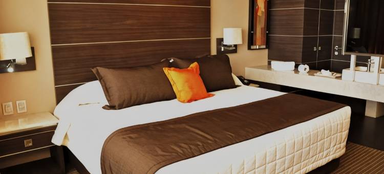 瑞尔阿拉米达日奎雷塔罗酒店(Hotel Real Alameda de Queretaro)图片