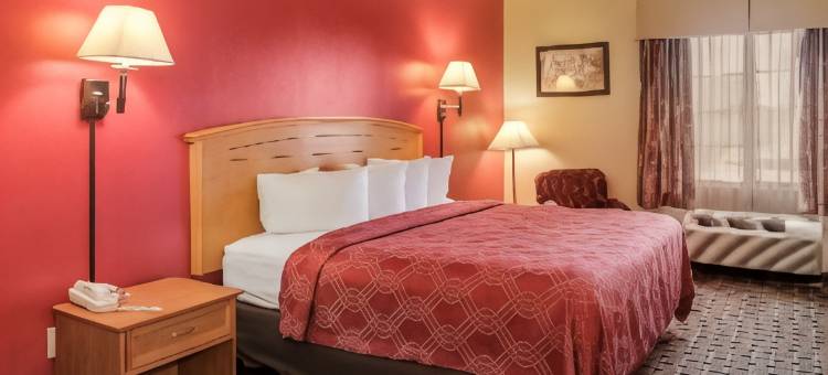 拉伯克I-27伊克诺旅馆(Econo Lodge Lubbock I-27)图片