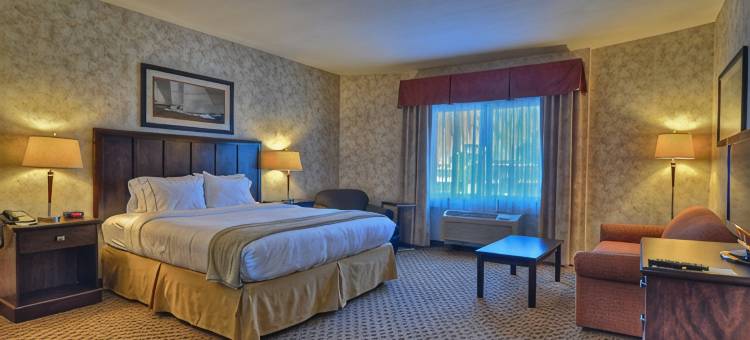 圣迭戈南丘拉维斯塔智选假日酒店(Holiday Inn Express SAN DIEGO SOUTH - CHULA VISTA by IHG)图片
