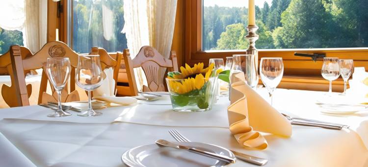 蒙施瓦德林酒店(Ringhotel Mönch`s Waldhotel)图片