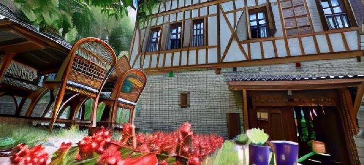 达迪布拉科纳克酒店(Dadibra Konak Hotel)图片