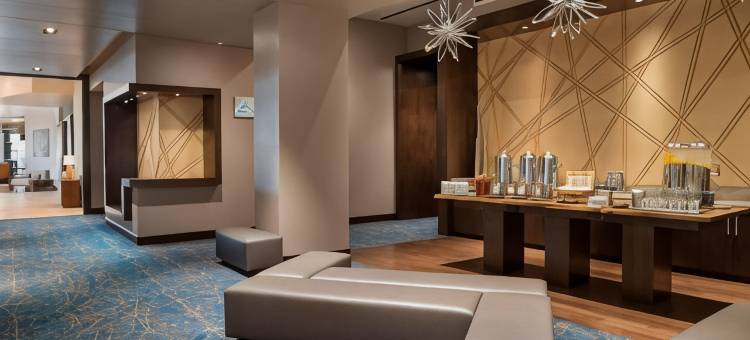布法罗莱康港中心万豪酒店(Buffalo Marriott at Lecom Harborcenter)图片