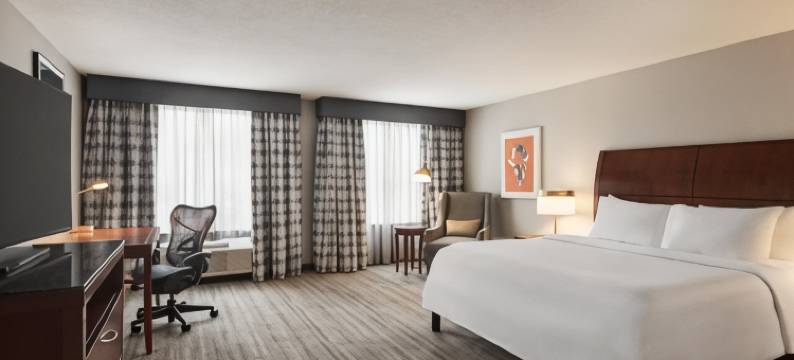 迈尔斯堡机场FGCU希尔顿花园酒店(Hilton Garden Inn Fort Myers Airport/FGCU)图片