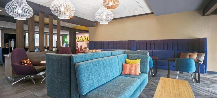 盖洛德希尔顿Tru酒店(Tru by Hilton Gaylord)图片