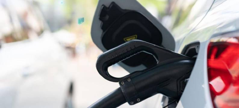 Landhaus Hamester - Hotel & Restaurant图片