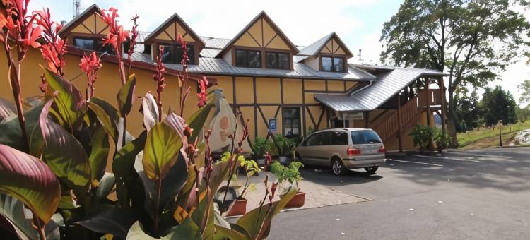 斯维克餐厅酒店(Hotel Restaurant Svejk)图片