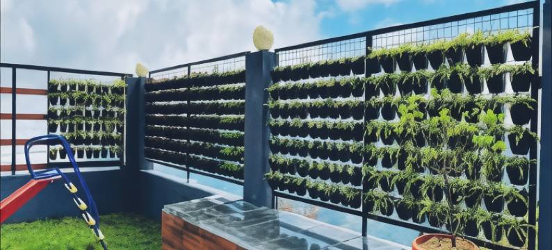 雾景(Mist View)图片