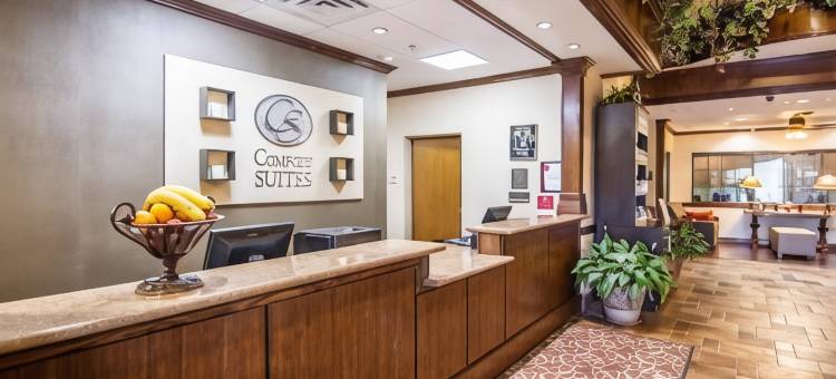 舒适套房酒店-马绍尔(Comfort Suites Marshall)图片