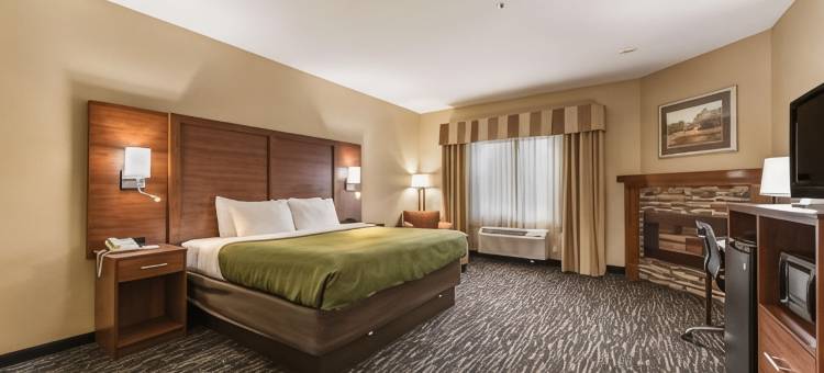 亨德森维尔平岩凯艺酒店(Quality Inn & Suites Hendersonville - Flat Rock)图片